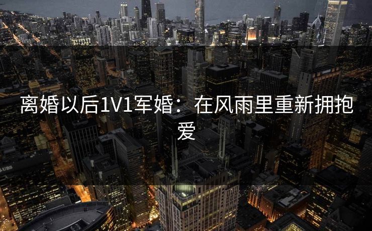 离婚以后1V1军婚：在风雨里重新拥抱爱