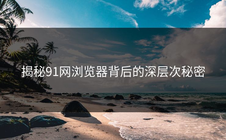 揭秘91网浏览器背后的深层次秘密