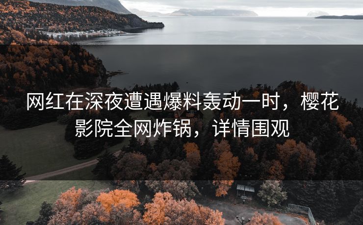 网红在深夜遭遇爆料轰动一时，樱花影院全网炸锅，详情围观